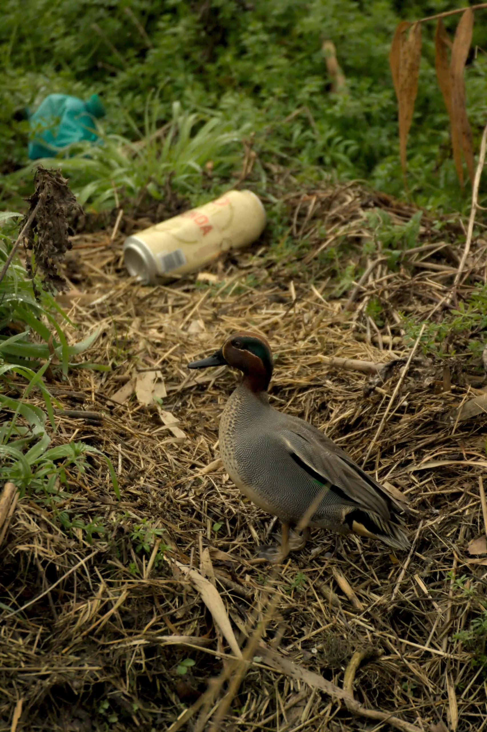 uncomfortable neighbors